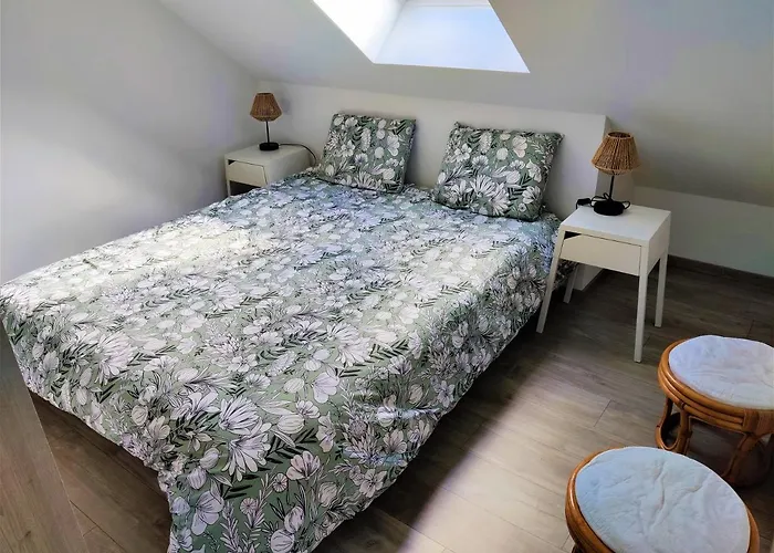 T3 Yuca Hyper Centre D'ernée Appartement Ernée