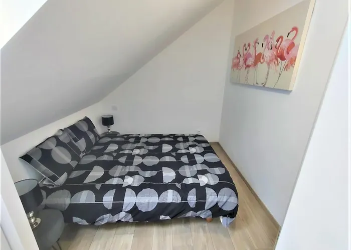 T3 Yuca Hyper Centre D'ernée * Ernée